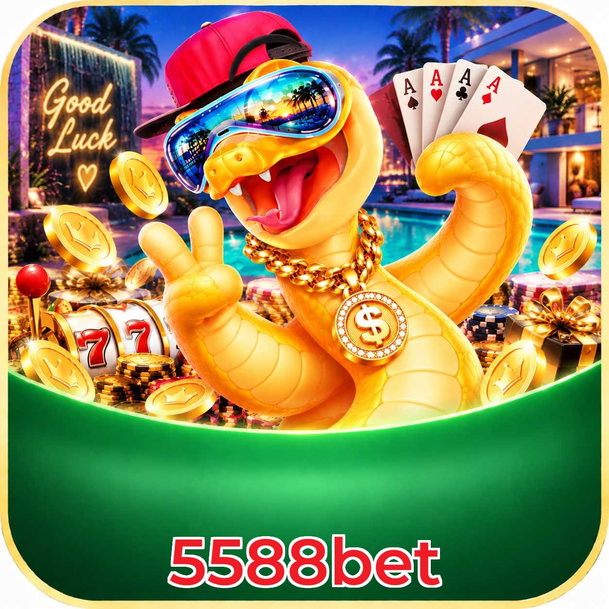 5588bet Bet Odds Analysis