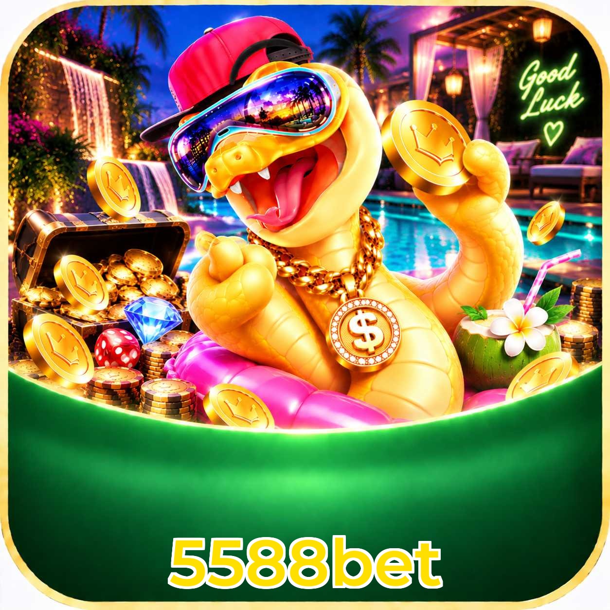5588bet Streaming Quality