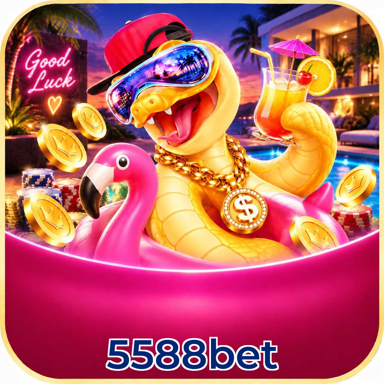 5588bet Download Speed